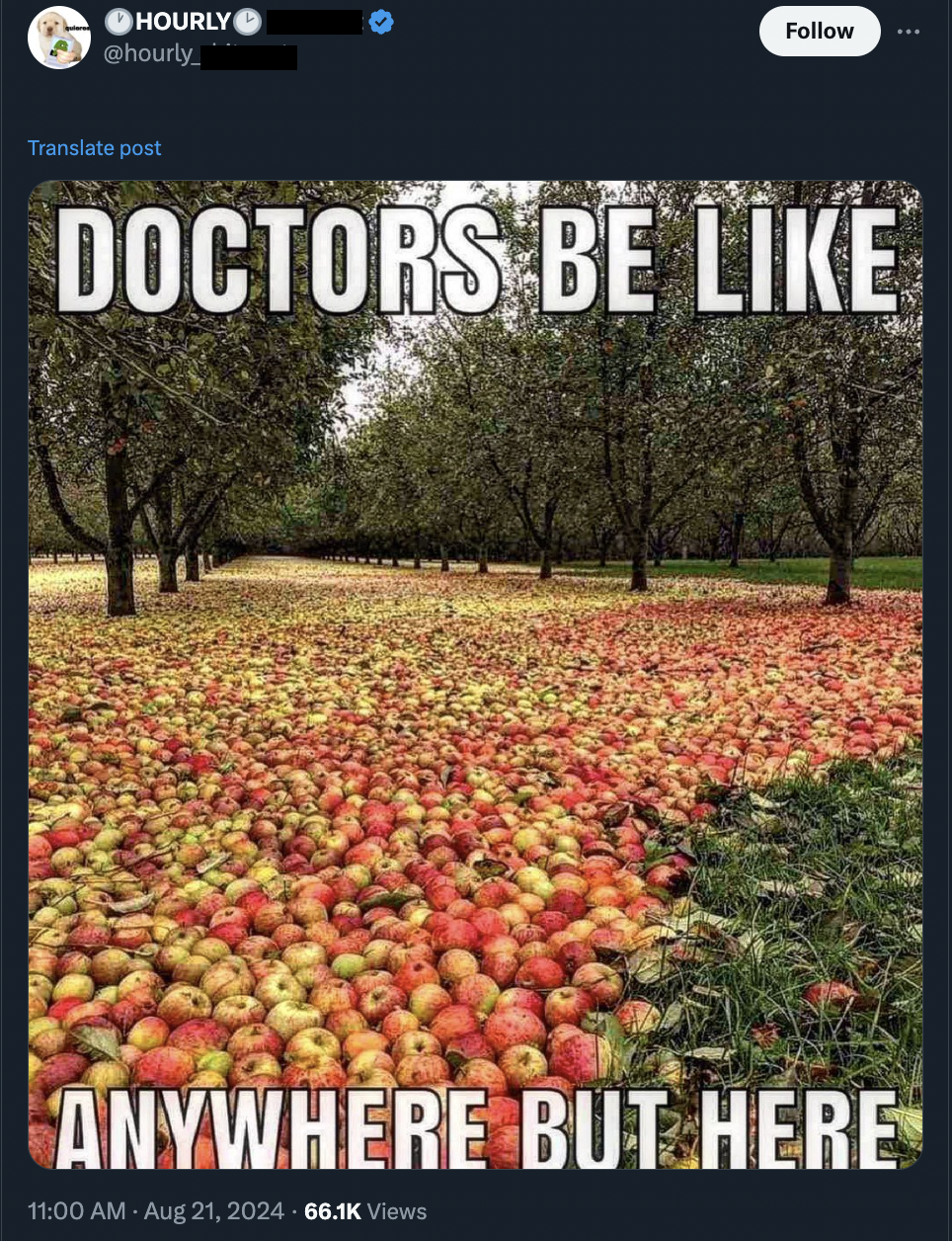 many apples are there - Hourly . Translate post Doctors Be Anywhere But Here Views